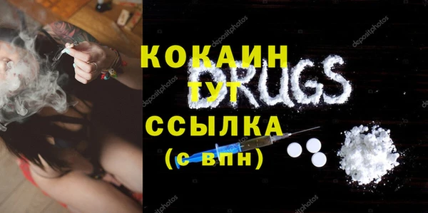 гашик Аркадак