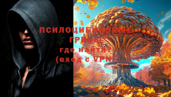 мескалин Арсеньев