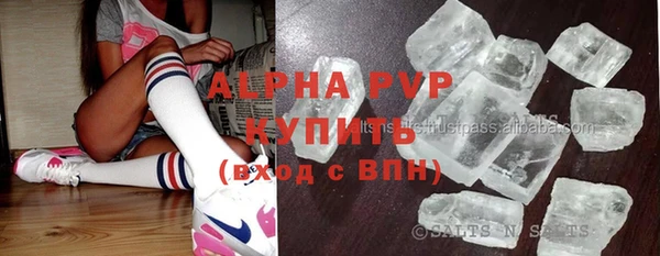 гашик Аркадак